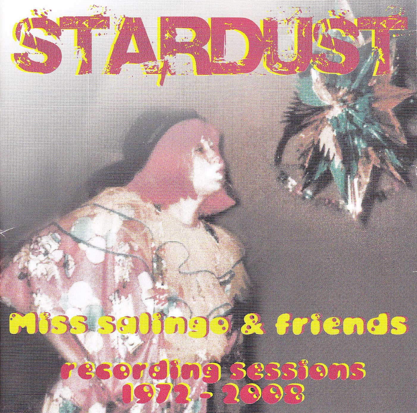 Albumcover: Stardust